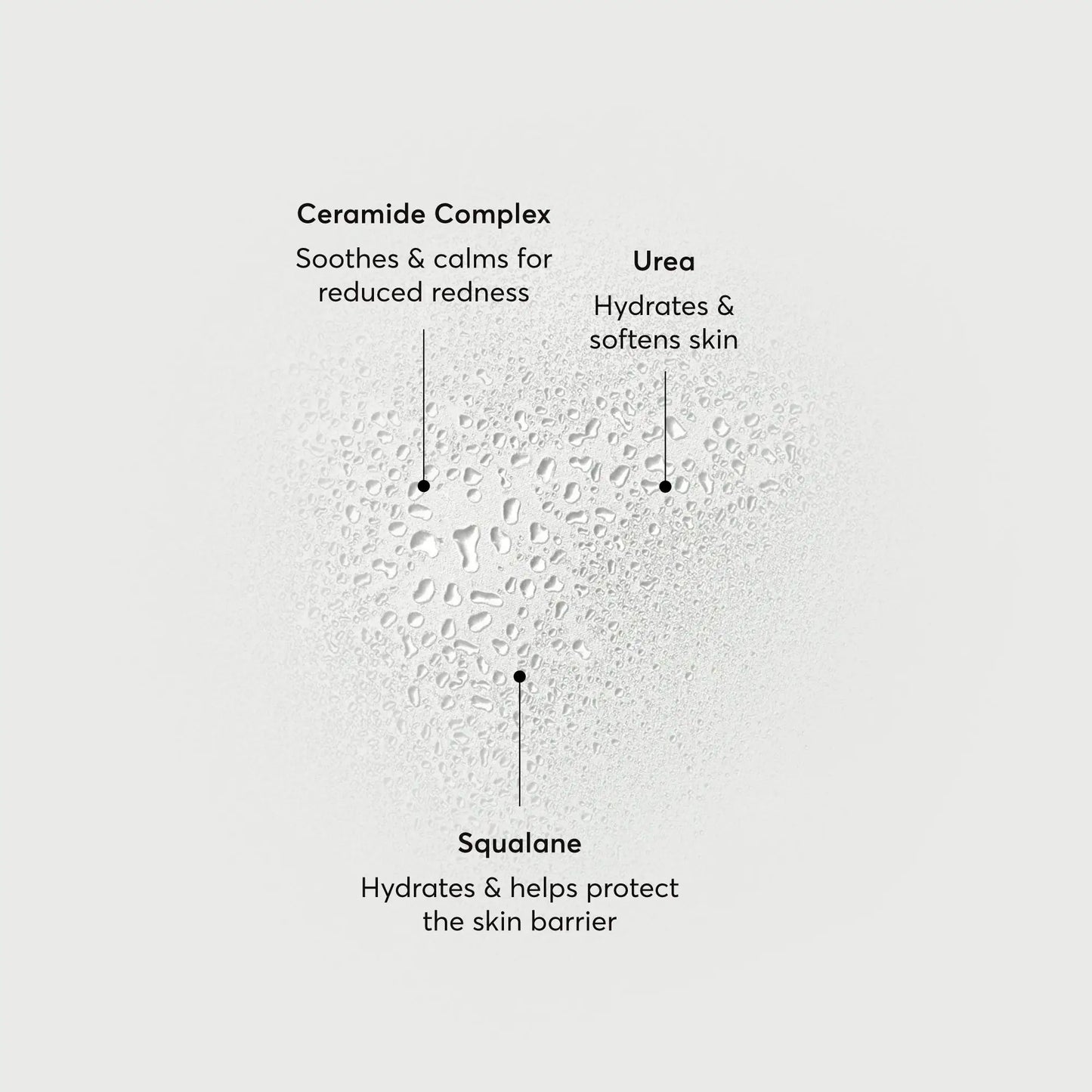 barrier-bounce-bi-phase-mist-i8 NATR-10167-Alt-Images-Barrier-Bounce-Bi-Phase-Toner-Mist_01.webp