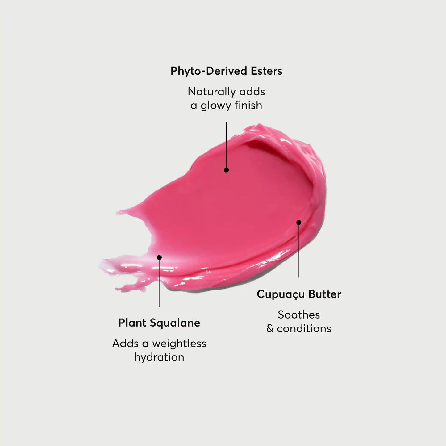 phyto-glow-lip-balm-camellia-w1 NATR-60075-Alt-Images-Phyto-Glow-Lip-Balm-Camellia-01.webp